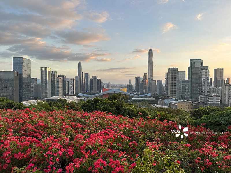 夕阳下莲花山公园俯瞰市民中心图片素材
