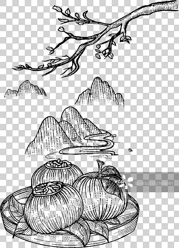 中国传统小青柑橘图片素材