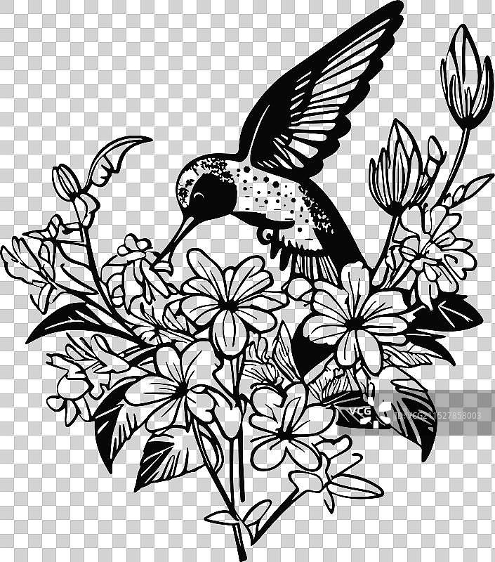 蜂鸟与盛开的花朵自然艺术图片素材