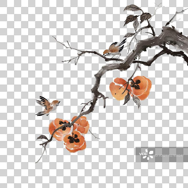麻雀与柿子-霜降节气秋天中国传统节日中国画古风水墨画元素图片素材