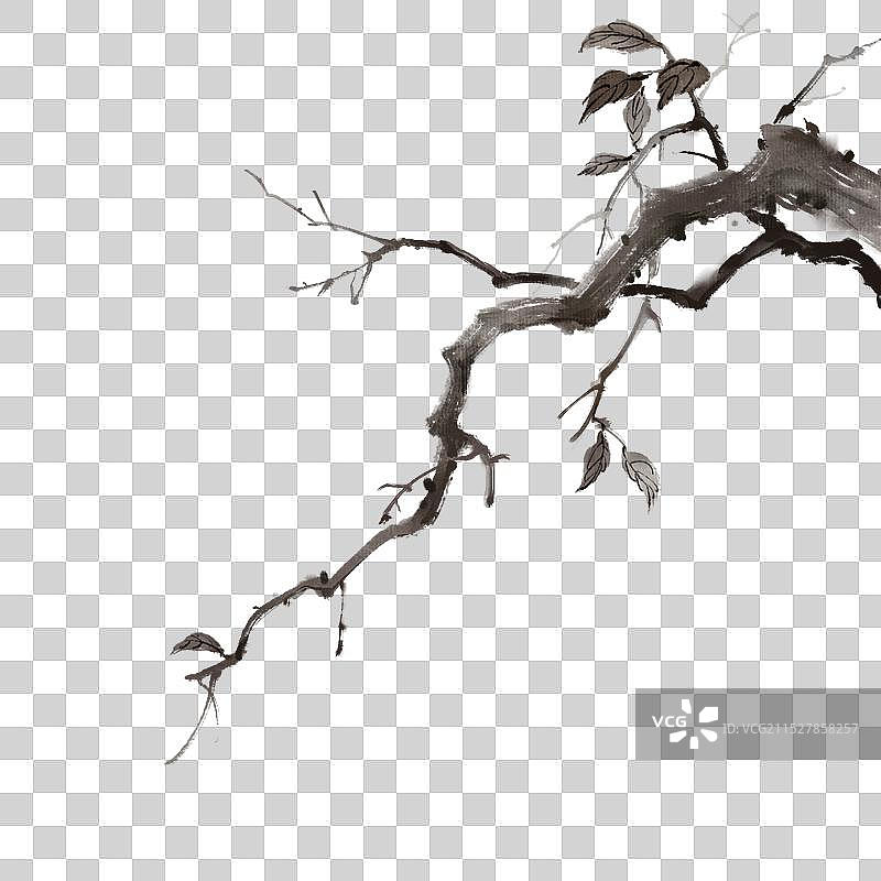树枝树干枯枝写意中国风古风水墨元素图片素材