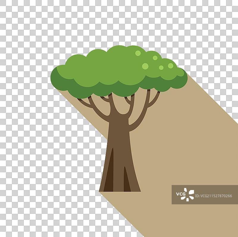 非洲猴面包树在地面上投下长长的阴影图片素材