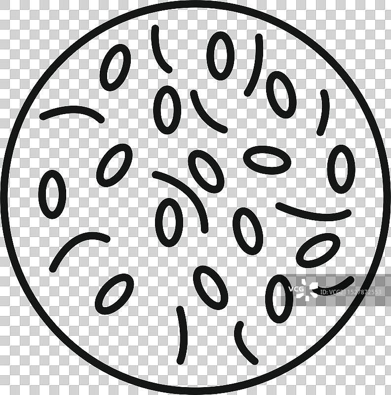 细菌的显微镜视图，展示不同类型图片素材