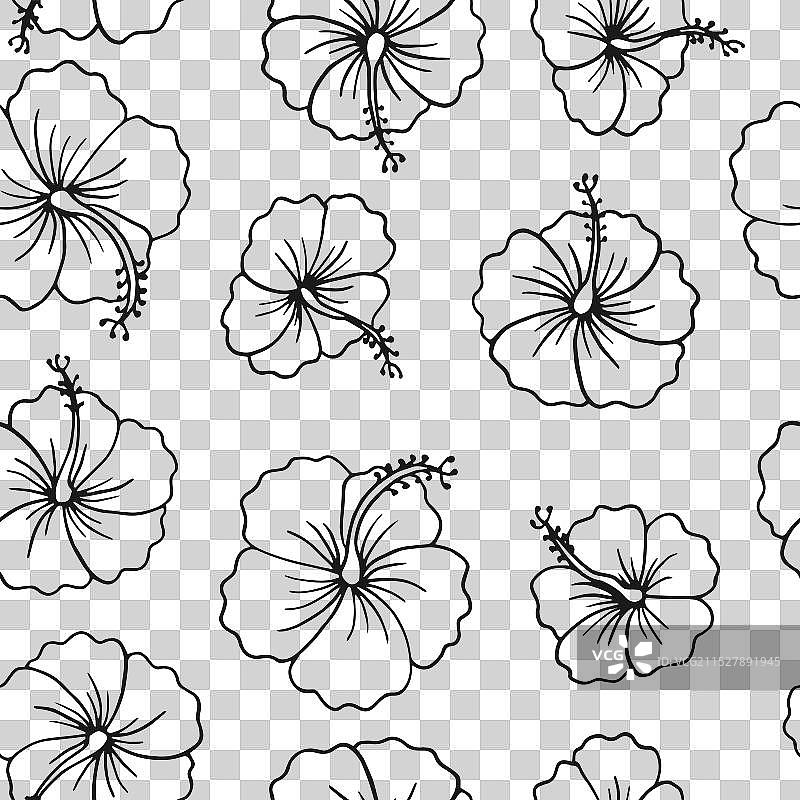 手绘的无缝芙蓉花图案图片素材