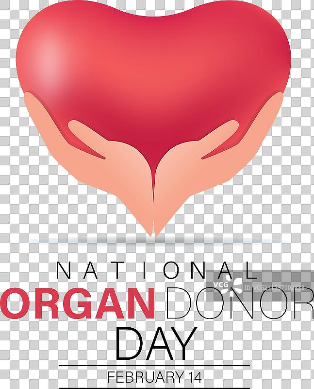每年二月观察器官捐献日图片素材