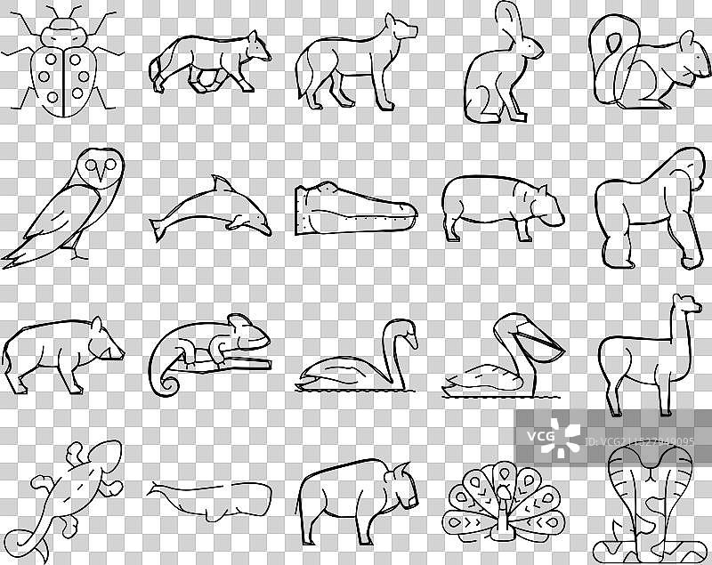 野生动物、鸟类和昆虫图标集图片素材