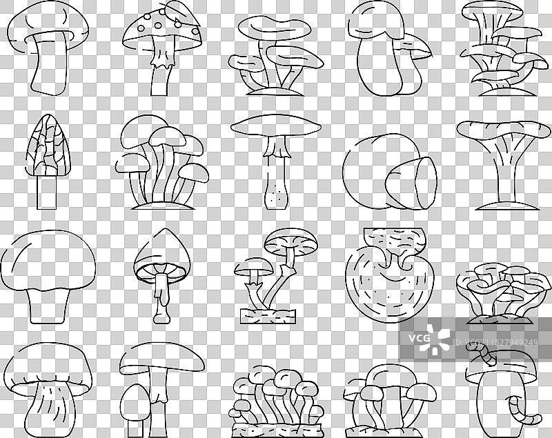 蘑菇、蔬菜和真菌图标集图片素材