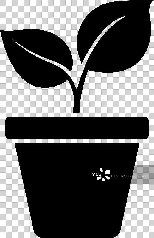 平面风格的室内植物图标图片素材
