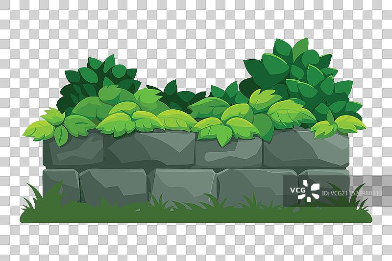 石墙上覆盖着郁郁葱葱的植物图片素材