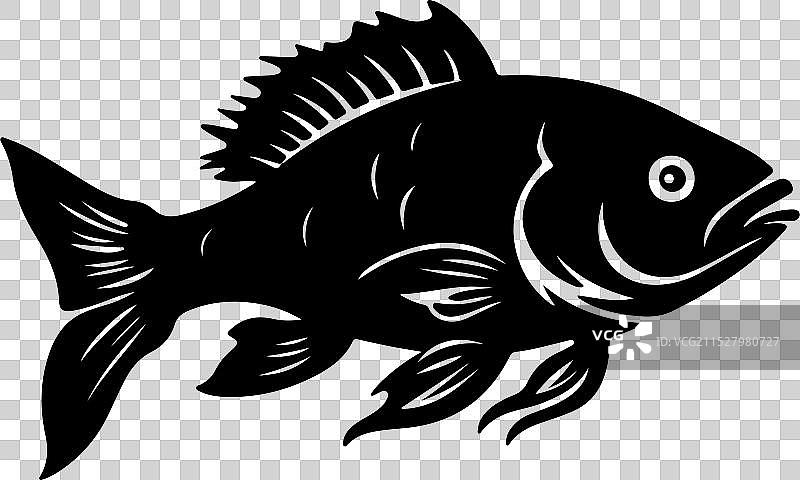 古生代鱼类腔棘鱼的轮廓，白色背景图片素材