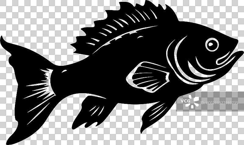 古生代鱼类腔棘鱼的轮廓，白色背景图片素材