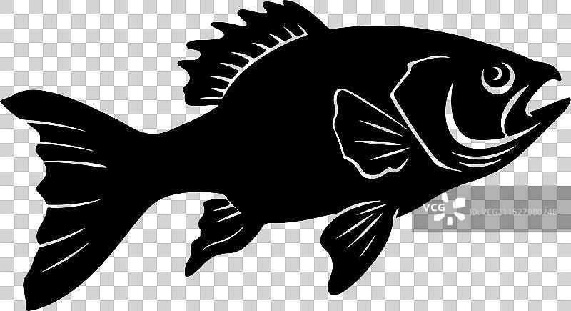 白色背景上的古生代鱼轮廓图片素材