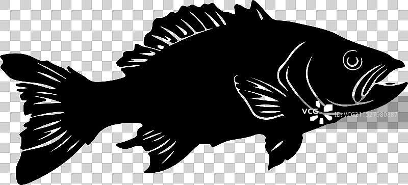 古生代鱼类腔棘鱼的轮廓，白色背景图片素材