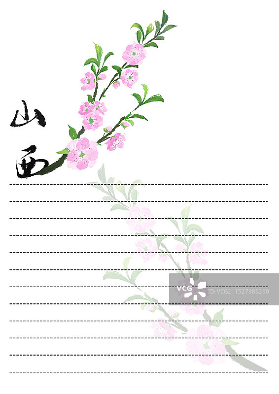 水墨风榆叶梅 山西省花 省花系列插画 12张全图片素材