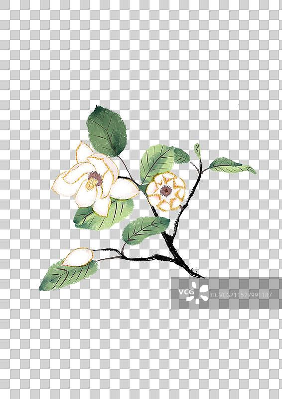 水墨风天女花免抠元素 国风元素 花朵元素图片素材