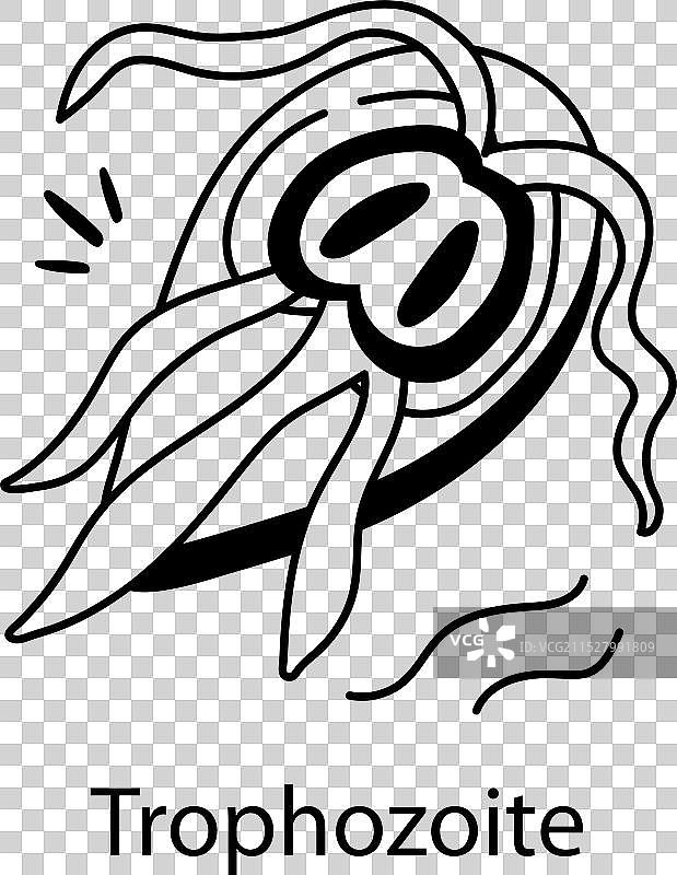 滋养体图片素材