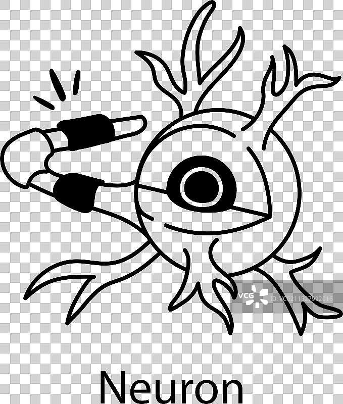 神经元图片素材