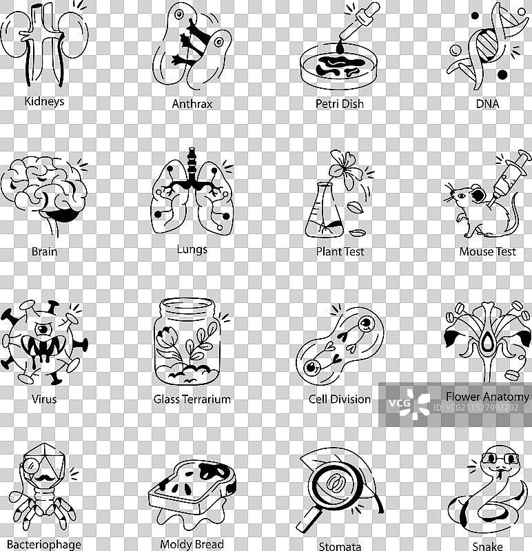 16个解剖学和测试涂鸦图标的集合图片素材