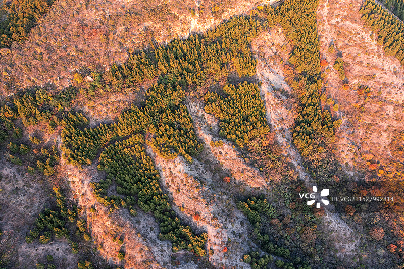 秋季山川林木图片素材