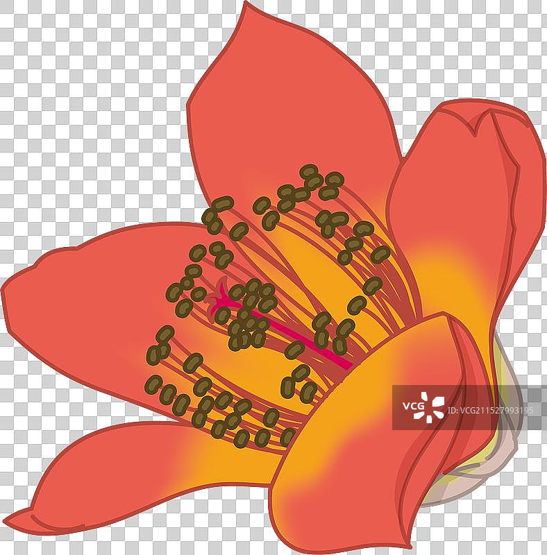 卡通木棉花特写图片素材