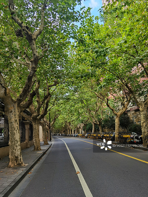 上海思南路图片素材