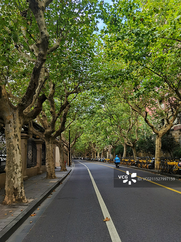 上海思南路图片素材