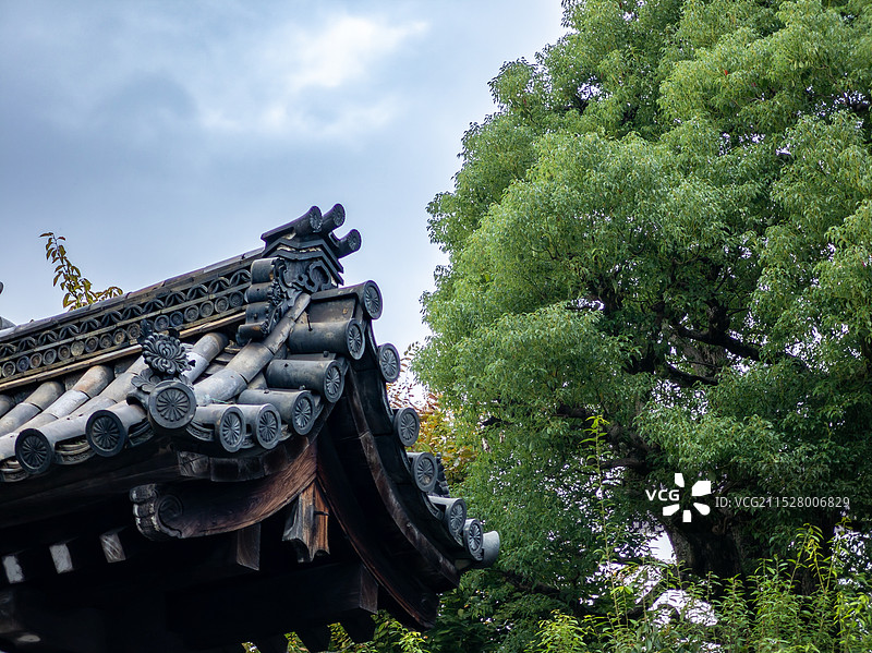 日本京都三十三间堂风光图片素材