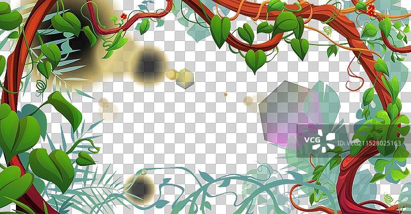 丛林背景，边框由藤蔓构成图片素材