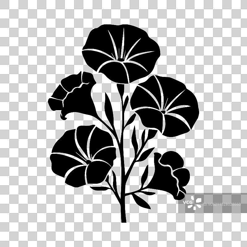 晨光绣球花剪影图片素材