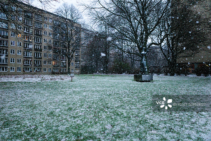 雪花正在飘落，覆盖草地，德国汉堡图片素材