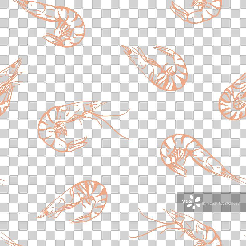 手绘虾的无缝图案图片素材