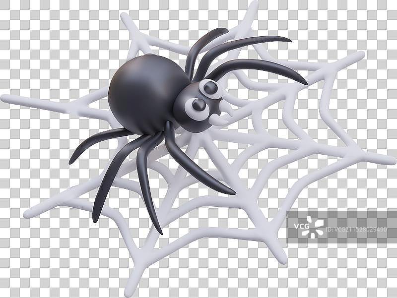 可爱的真实黑色蜘蛛在白色背景上织网图片素材