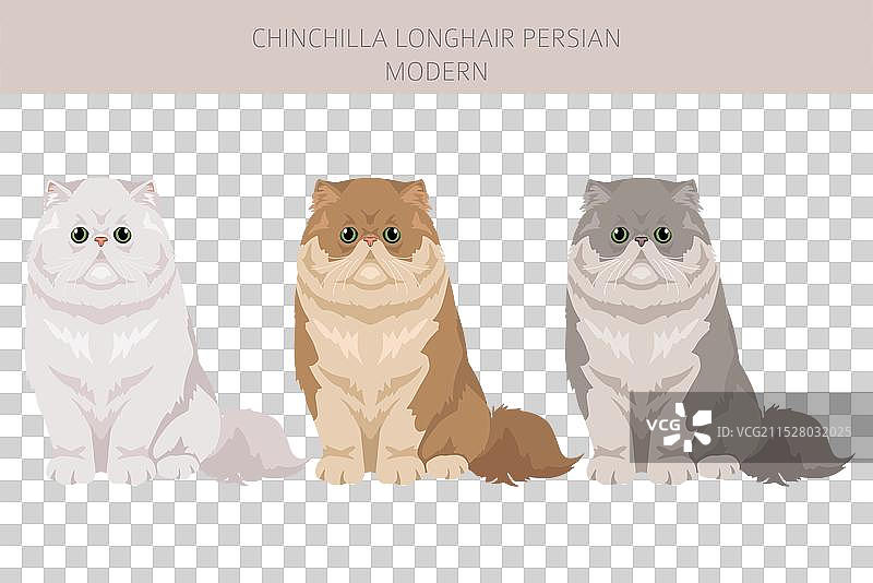 现代长毛金丝猴波斯猫剪贴画图片素材