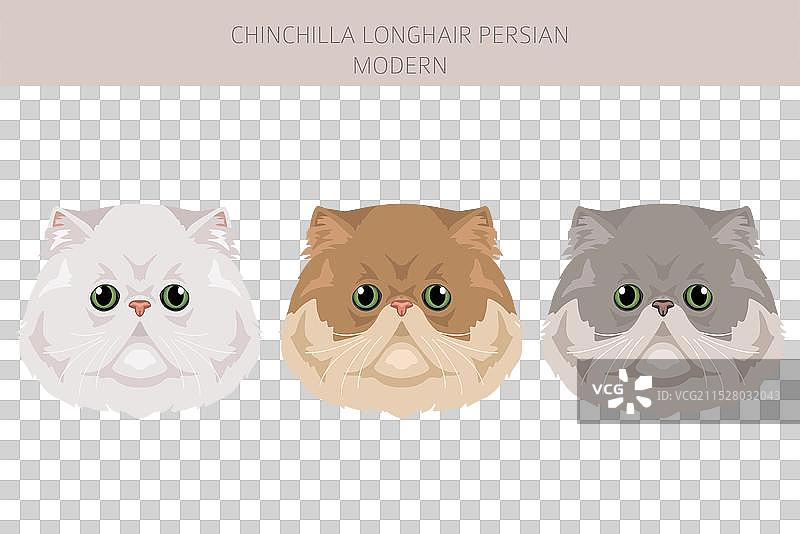 现代长毛金丝猴波斯猫剪贴画图片素材