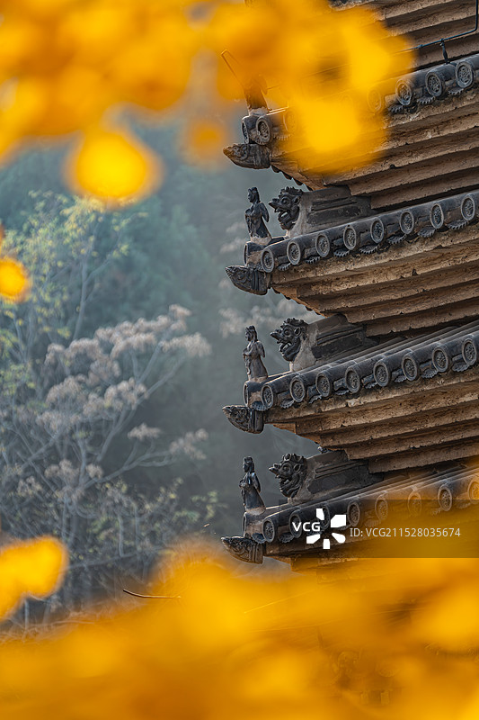 银山塔林：开启金色十一月图片素材