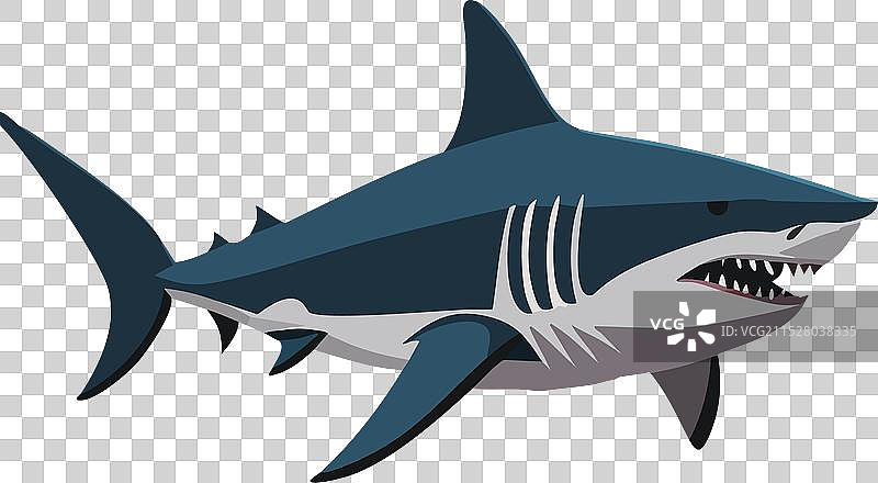 大白鲨图片素材