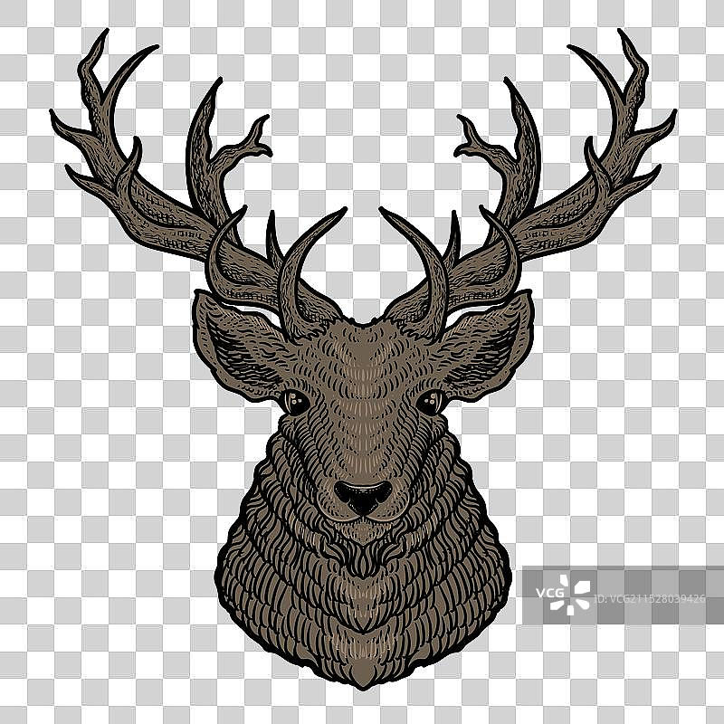 黑色背景上的鹿头雕刻风格图片素材