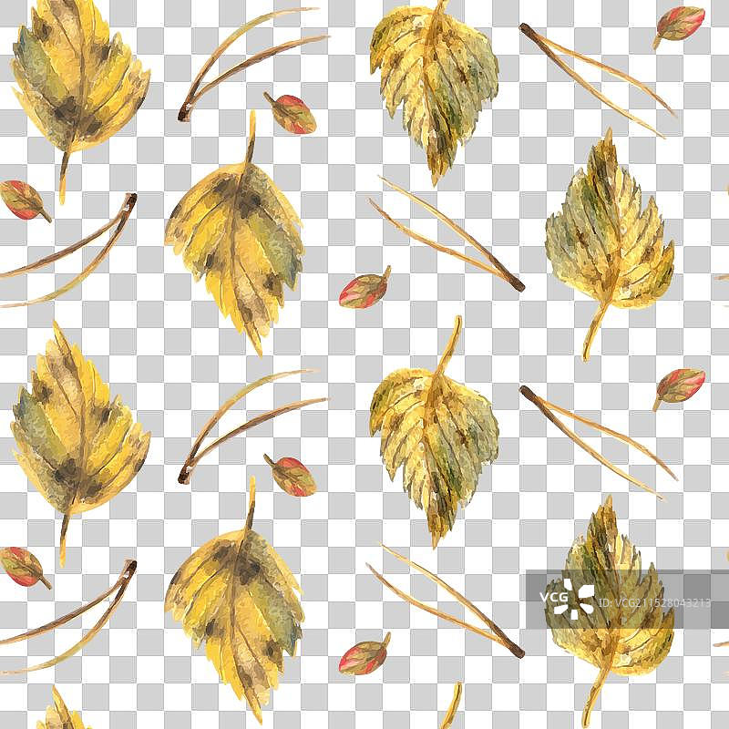 黄色秋季白桦树叶与松针图片素材