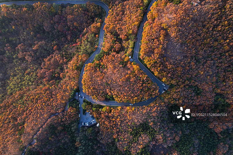 蜿蜒的秋色图片素材