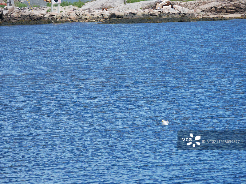 宁静海岸图片素材