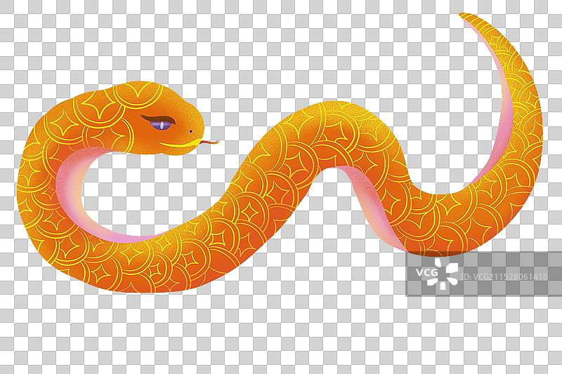 金色的蛇图片素材