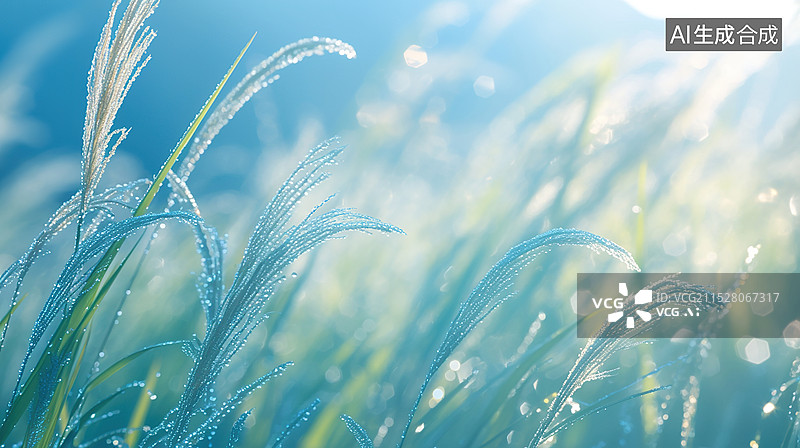 【AI数字艺术】特写狗尾巴草春天的晨露自然和绿色的美背景图片素材