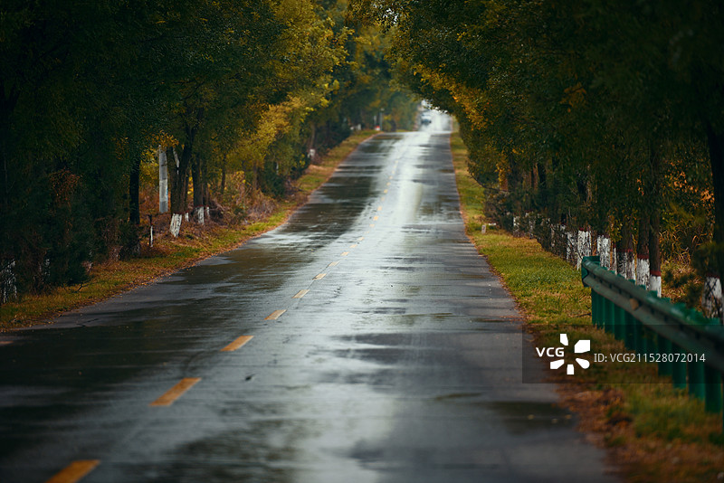 咸阳市淳化县铁南路图片素材