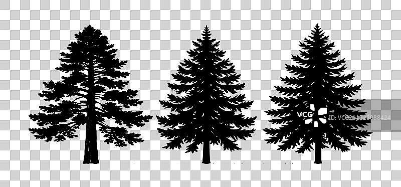 一组道格拉斯冷杉树的剪影图片素材