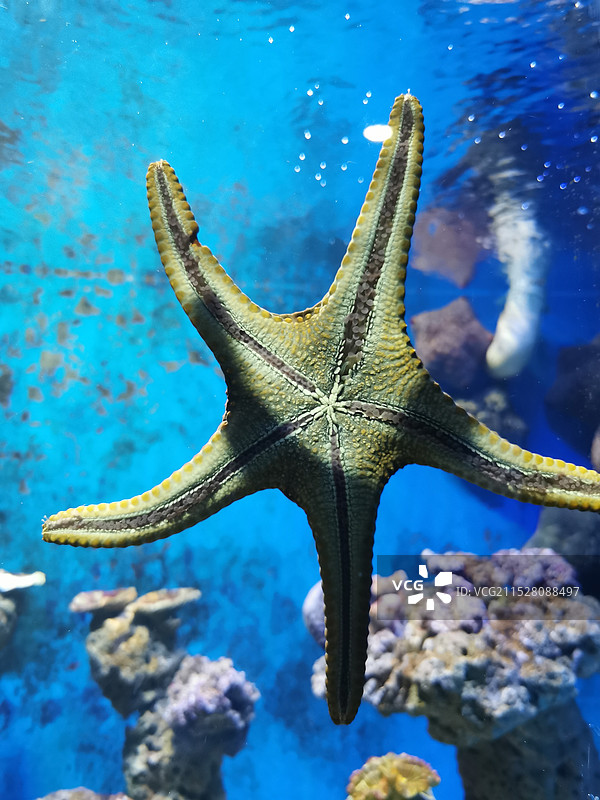 北海海洋之窗图片素材