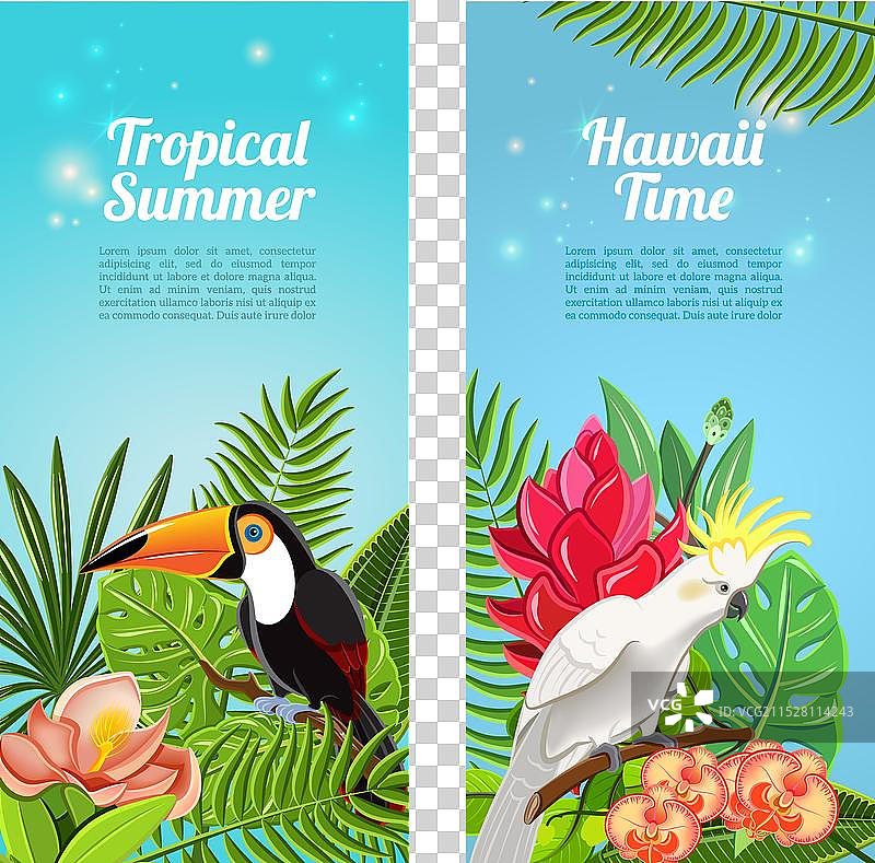 热带岛屿鸟类垂直横幅套装图片素材