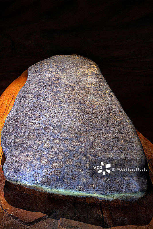 生命的最初痕迹•叠层石（蓝藻化石）图片素材