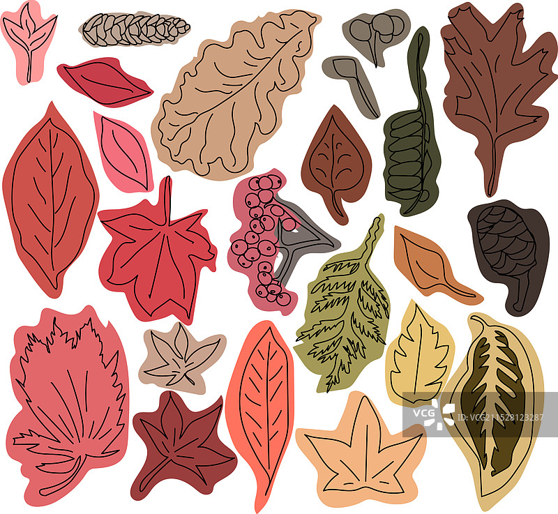 各种秋天的树叶和植物图片素材