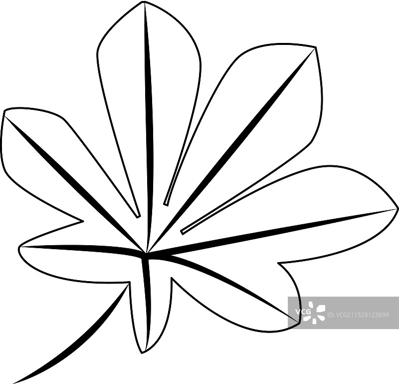 一片黑色的详细枫叶图片素材