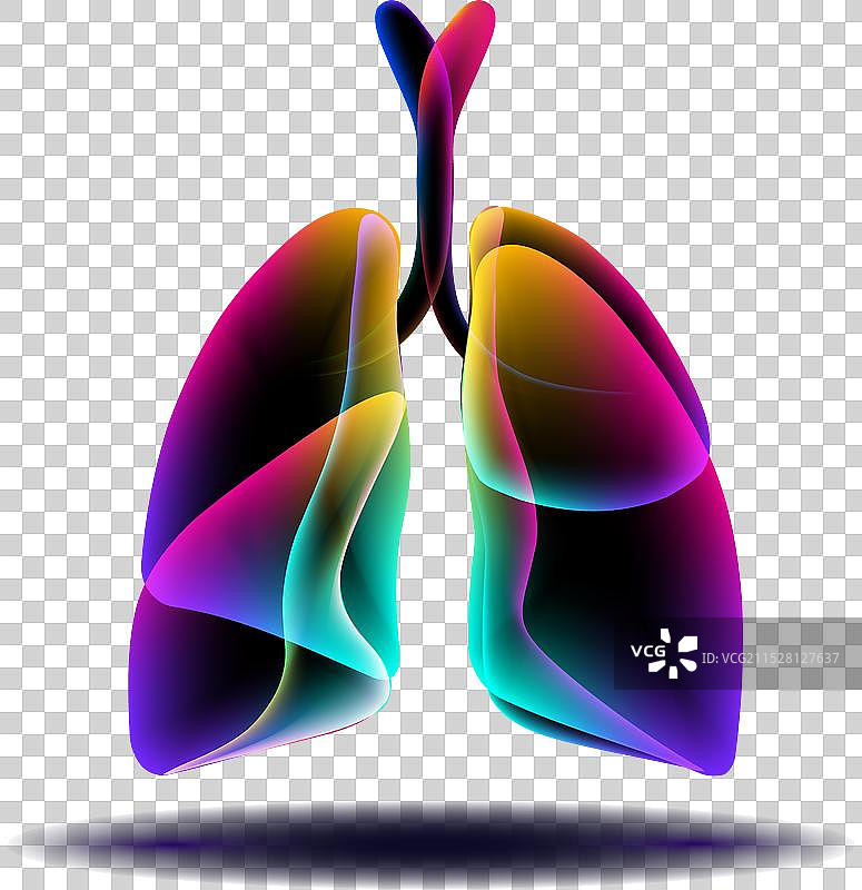 肺泡001图片素材